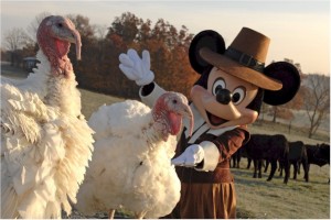 Thanksgiving turkey no longer welcome in Disneyland
