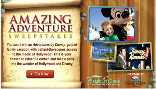 Disney's Amazing Adventure Sweepstakes
