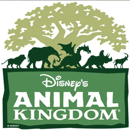Disney World Quick Tips - Animal Kingdom