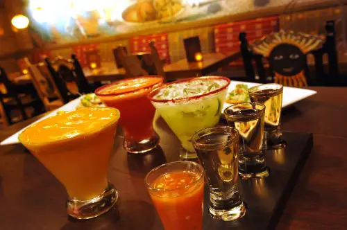 Disney Food Confession - Tequila & Margaritas