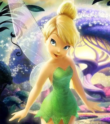 Teen Not Allowed in Animal Kingdom Dressed as Tinker Bell
