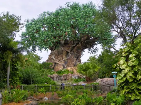 Best Things I Love About Disney – The Tree Of Life