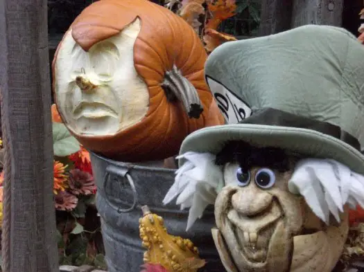 Halloweentime: Disneyland Pumpkins!