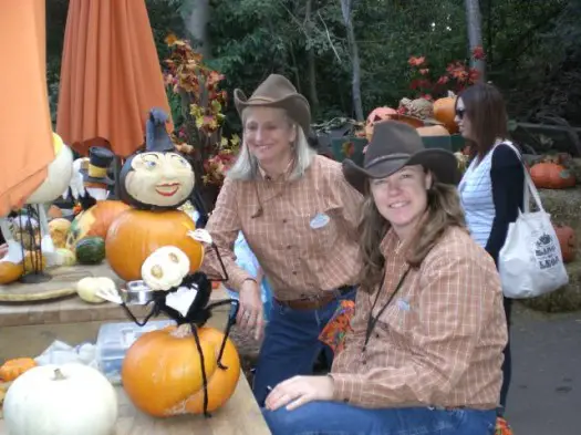 Halloweentime: Disneyland Pumpkins!