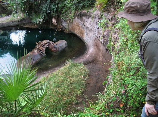 ‘Wild Africa Trek’ at Disney's Animal Kingdom Brings Thrills of Faraway Adventure to Walt Disney World Resort
