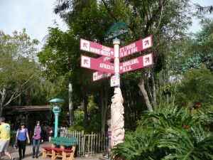 Disney World Quick Tips - Miscellaneous Tips I have learned