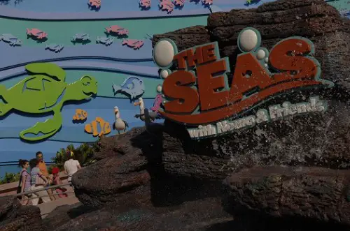 There's More to "Sea" Than Just Nemo!
