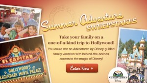 Disney Family - Summer Adventure Sweepstakes