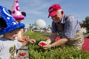 With the Help of Ocean Spray, Gary Walks Guests Through the Cranberry Bog at Epcot