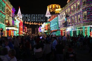 The Holiday Magic at Walt Disney World