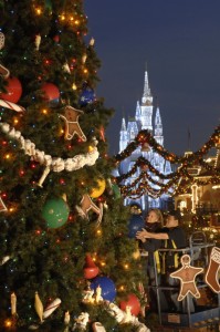 Magic Kingdom Christmas Tree On Display December 6th