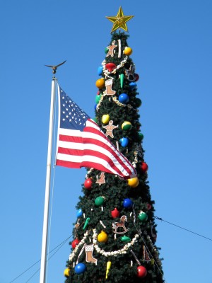 Capturing Disney in Pictures: 7th Day of Christmas at the Magic Kingdom Flag Ceremony