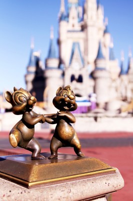 Capturing Disney in Pictures: A Fan's view of Chip and Dale