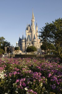 Florida Residents Can Make More Memories in 2012 with 3-Day, 4-Day ‘Wild For Disney’ Passes