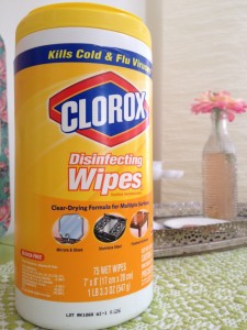 Disney World Quick Tip: Don't Forget Clorox Wipes