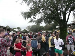 Is Disney World becoming too crowded?