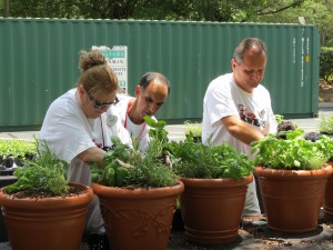 Disney VoluntEARS Plant Herbs at Transitional Home
