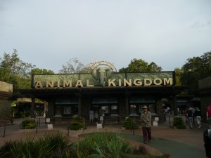 Five Rides for Little Guys (and girls) at Disney's Animal Kingdom