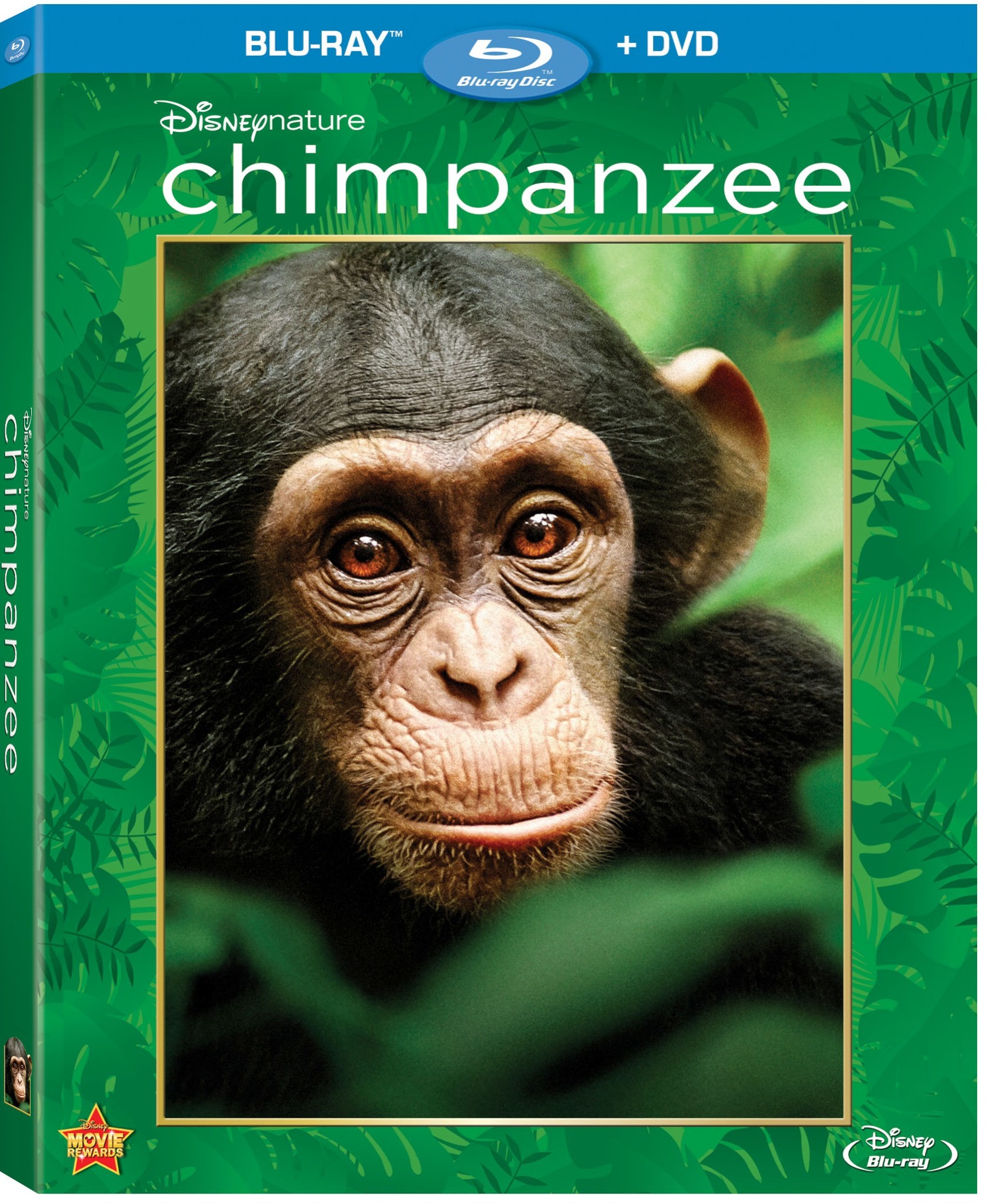 Disneynature Chimpanzee Bluray