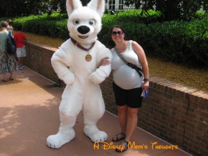 Things You'll Need While Pregnant at WDW