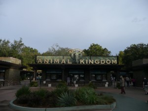 What is Rope Drop and Why do I want to see it?