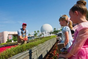 What is More Fun than EPCOT and a Cranberry Bog?