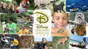 Disney Grant to Help Rescue Animals in Disasters