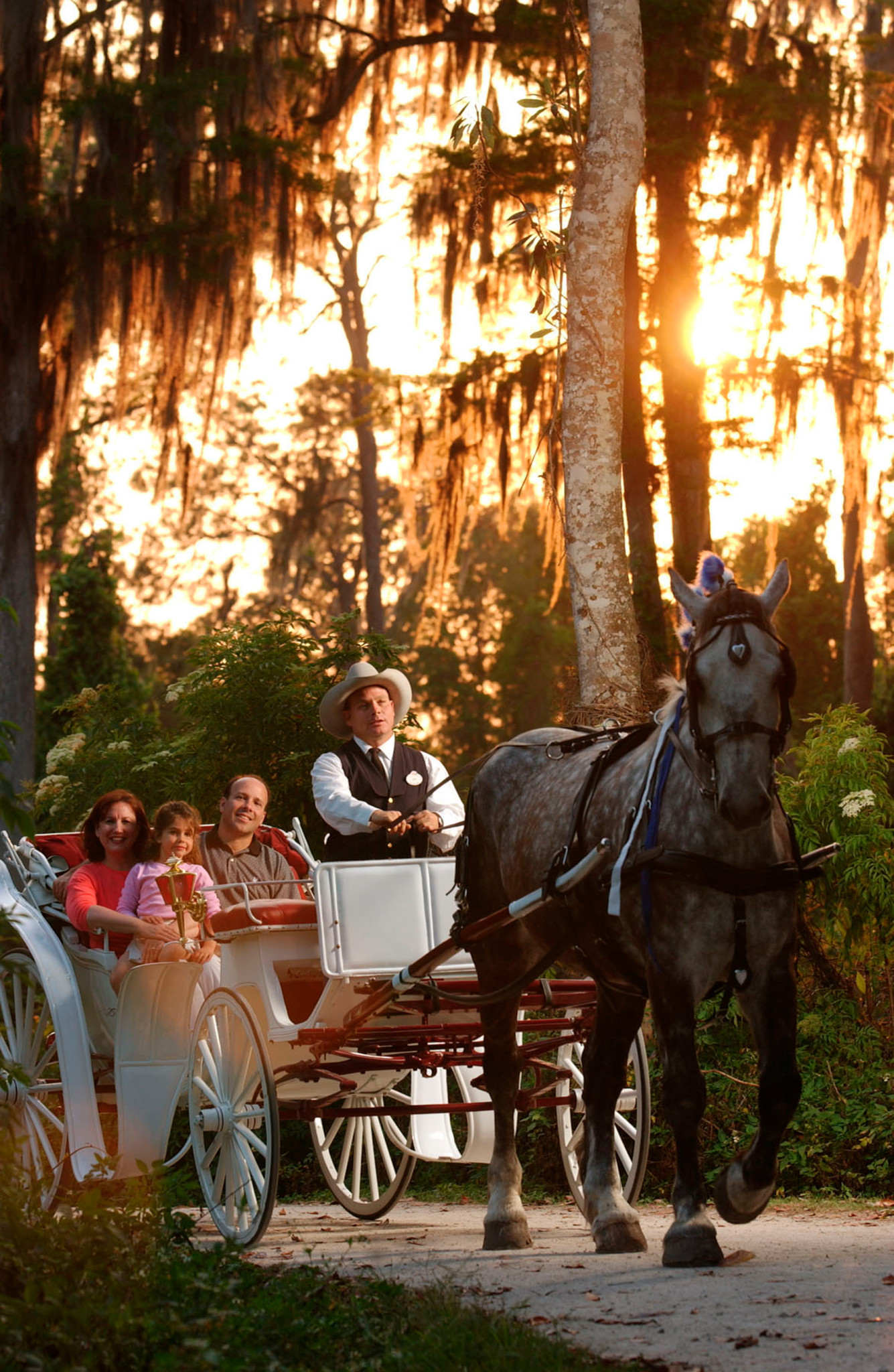 horse-drawn carriage Walt Disney World