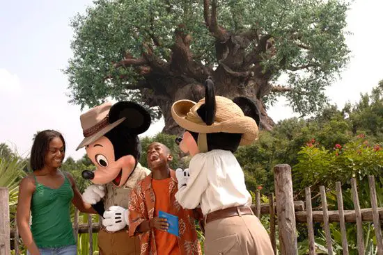 Mickey and minnie Animal Kingdom