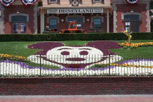 DisneylandPark