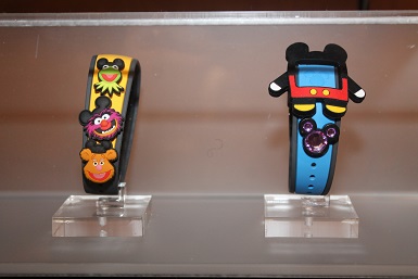 customized MagicBands1