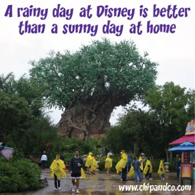 Rain at Disney