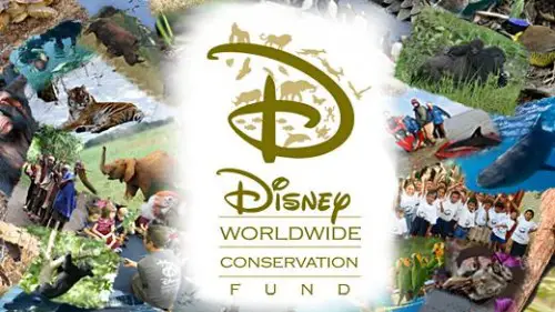 Disney Conservation Fund Grant