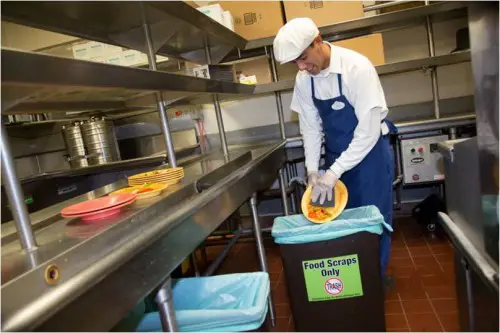 Disneyland Food Scraps Recycling