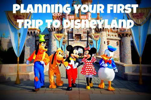 First Trip to Disneyland