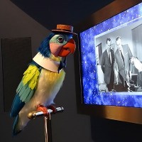 Walt Disney Museum - Tiki Bird