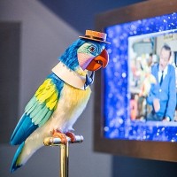 Walt Disney Museum-Tiki Bird-Exhibit
