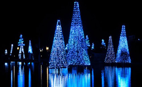 See of Christmas Trees