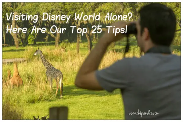 Top Tips for visiting Disney World alone