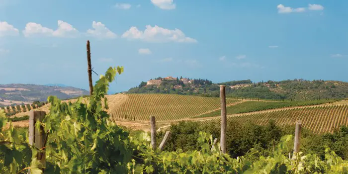 adventures-by-disney-europe-italy-hero-12-vineyards-of-tuscany