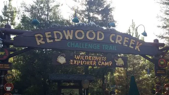 redwood creek