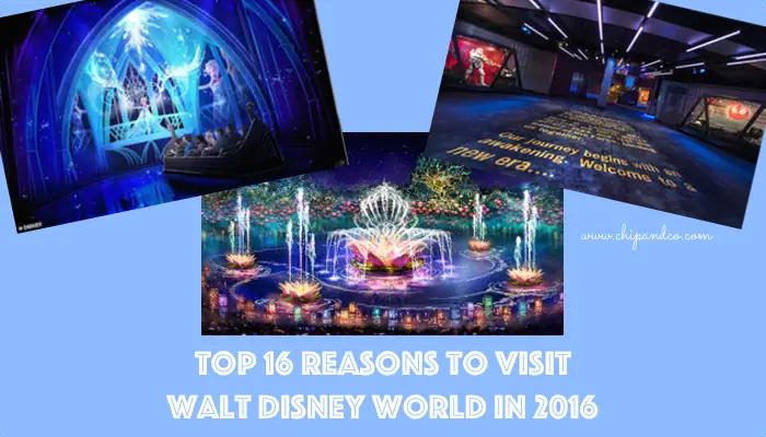 16 Reason to Visit Walt Disney World