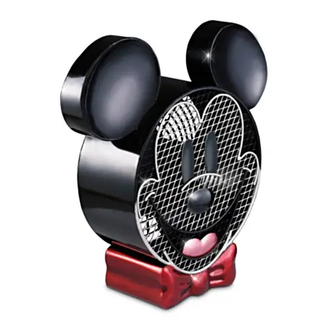 Mickey Fan