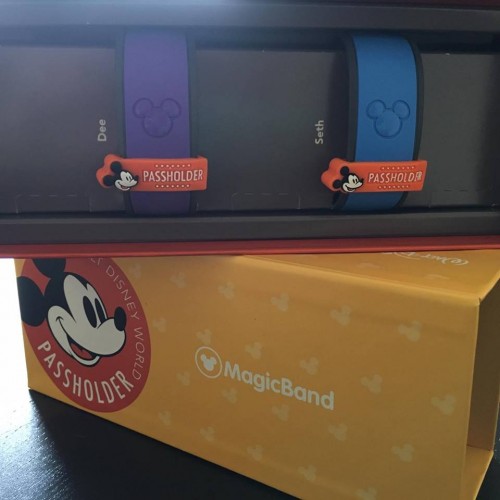 MagicBands5