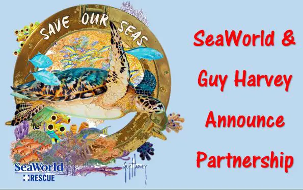 Guy Harvery SeaWorld