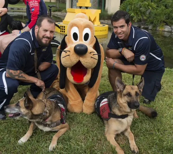 (May 12, 2016): Pluto celebrates Invictus Games Orlando 2016 United States competitors (L-R) Leonard Anderson with his service dog, Azza, and August OÕNiell with his service dog, Kai, Thursday, May 12, 2016, ahead of the closing ceremony at Walt Disney World Resort in Lake Buena Vista, Fla. Founded by Prince Harry, Invictus Games is the only adaptive sporting event for injured active duty and veteran service members. (David Roark, photographer)