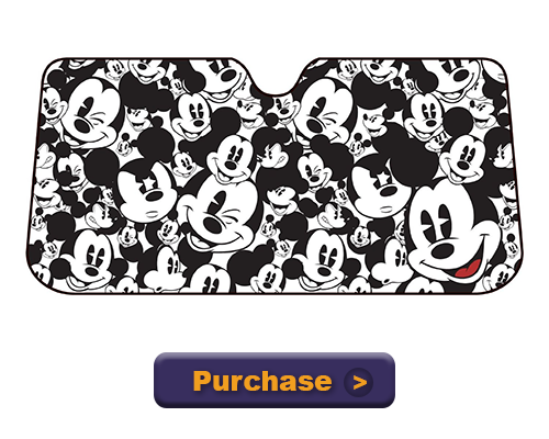 Mickey Mouse Shades 1 purchase