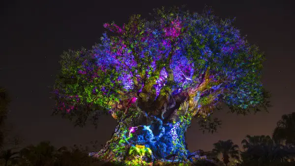 tree of life night