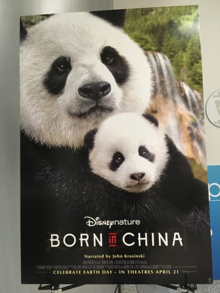 "Born In China" Documentary Review