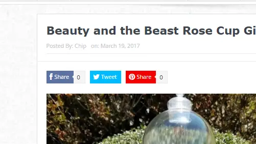 Beauty and the Beast Rose Cup Giveaway
